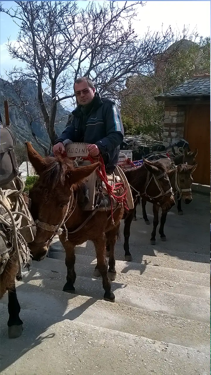 Каменная лестница в зелёных зарослях, ведущая от моря к скиту святой Анны на Афоне